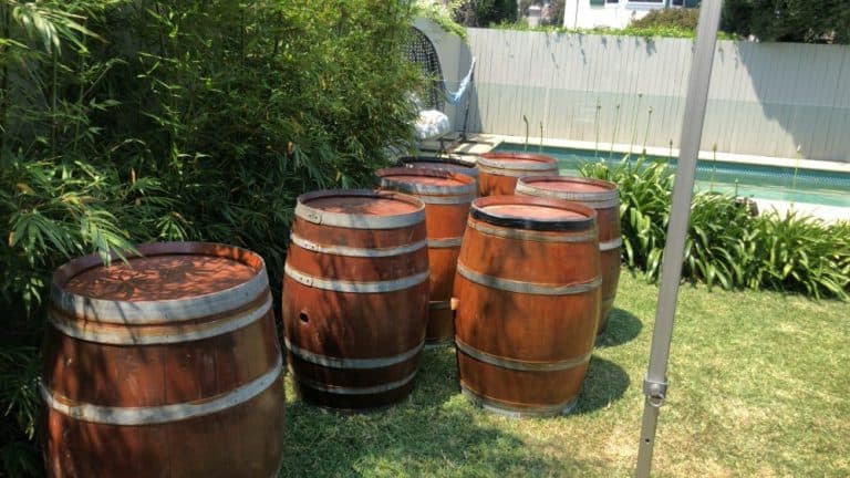 Full Wine Barrel