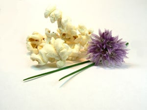 Popcorn Warmer Flavoured Popcorn